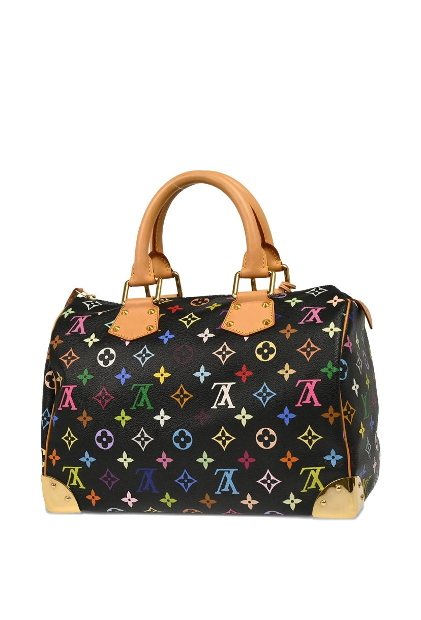 Louis Vuitton 2012 Speedy 30 Handbag
