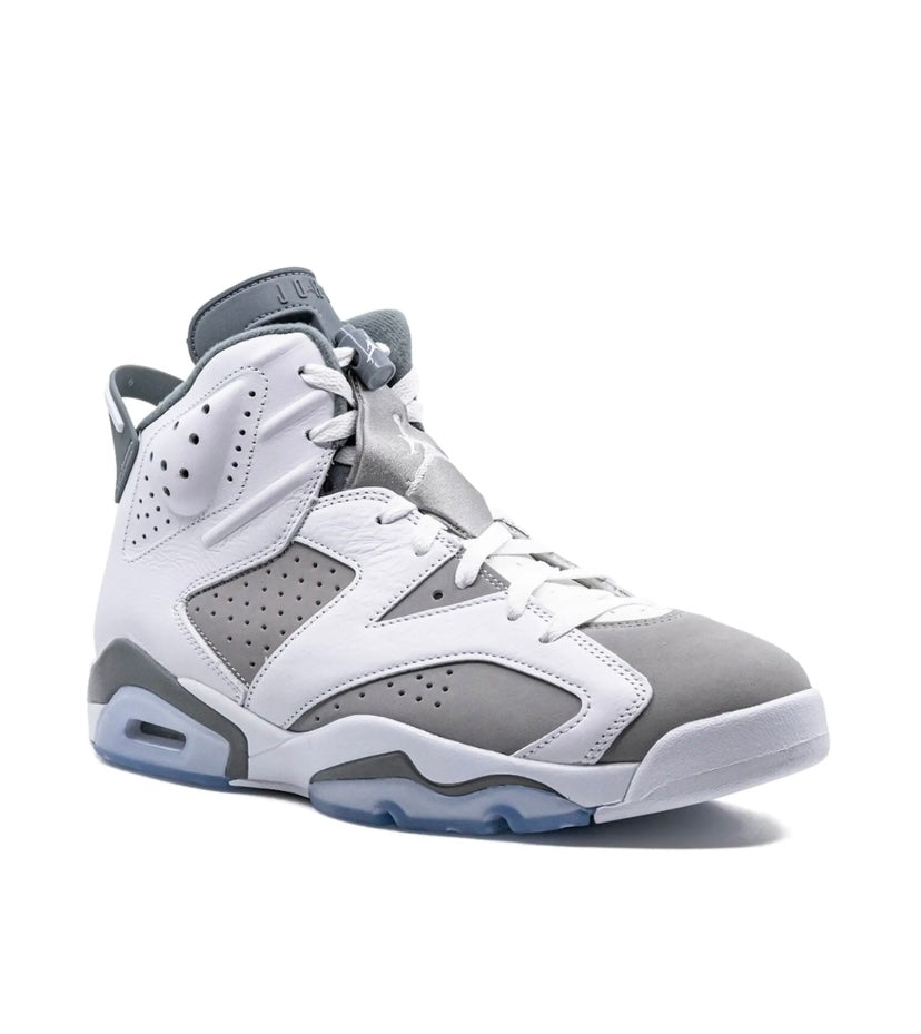 Air Jordan 6 Cool Grey