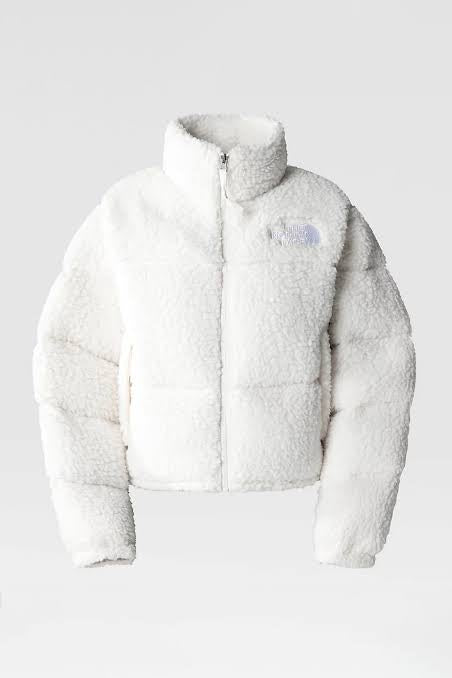 Fluffy North Face Winter Jacket