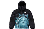 Supreme X The North Face Baltoro Jacket