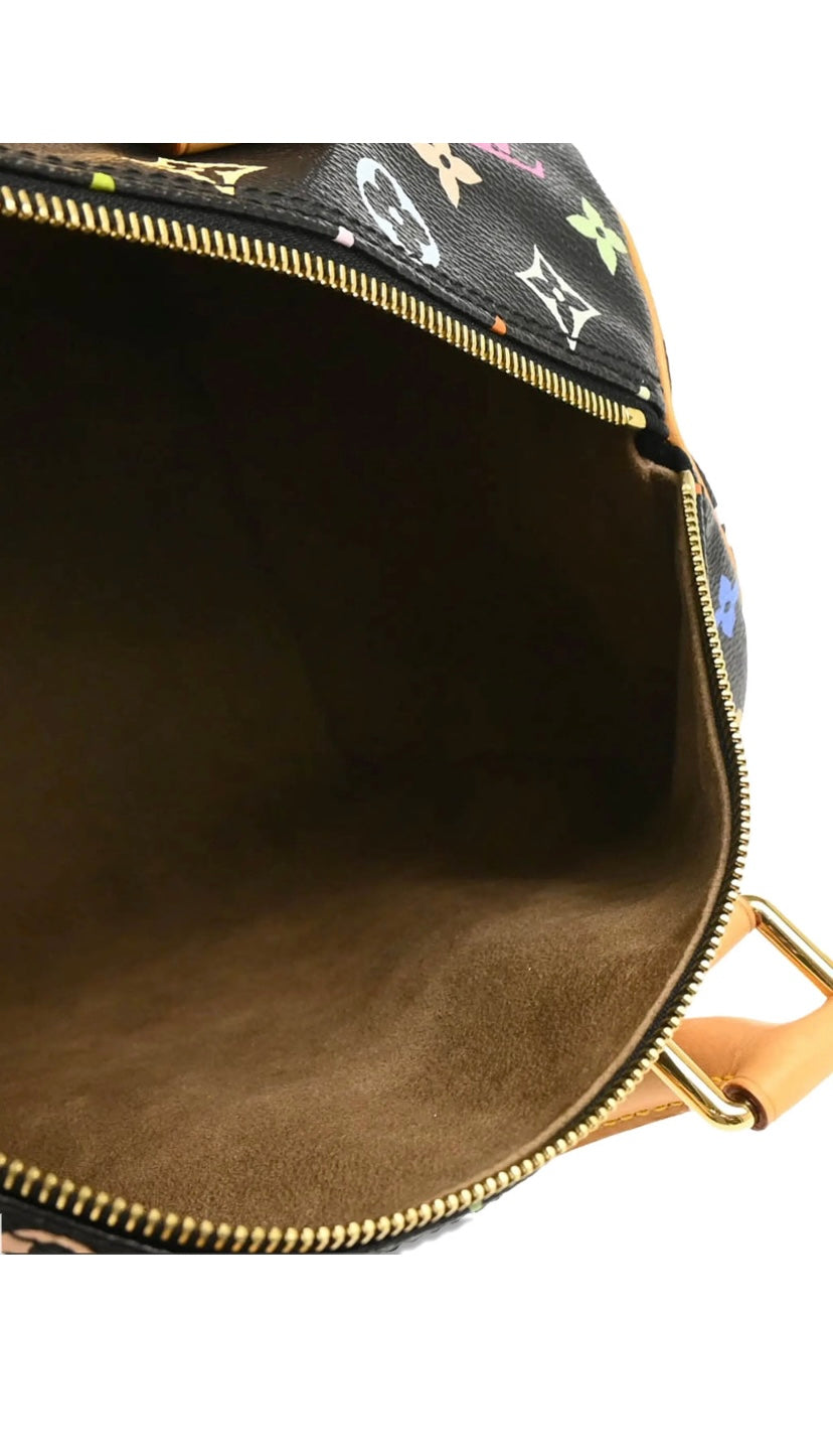 Louis Vuitton 2012 Speedy 30 Handbag