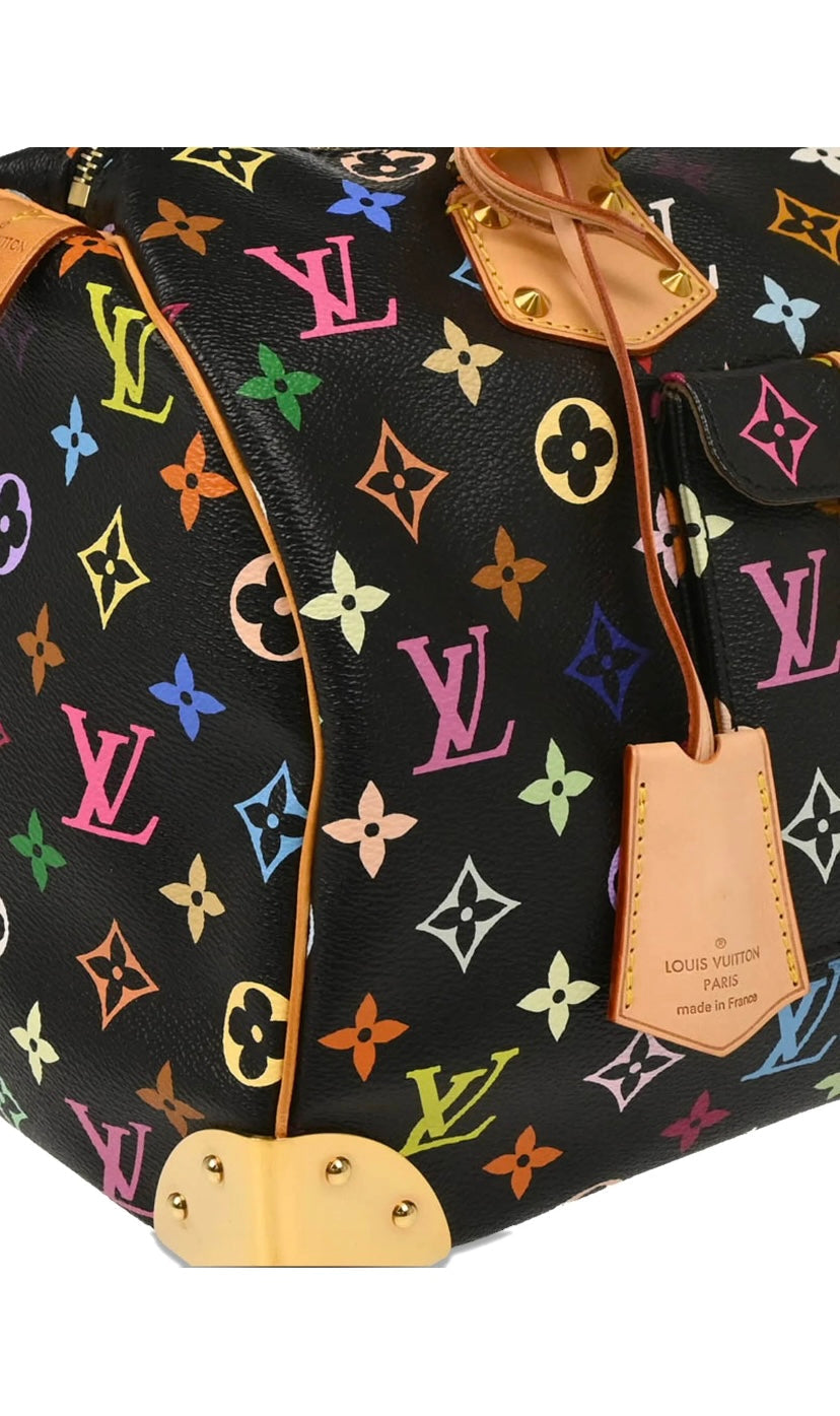 Louis Vuitton 2012 Speedy 30 Handbag