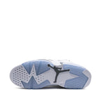 Air Jordan 6 Cool Grey