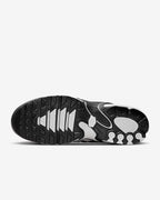 Nike Air Max Plus Drift Womens “Summit White/Metallic”
