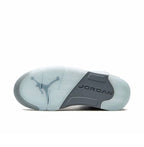 Air Jordan 5 OG Blue Bird
