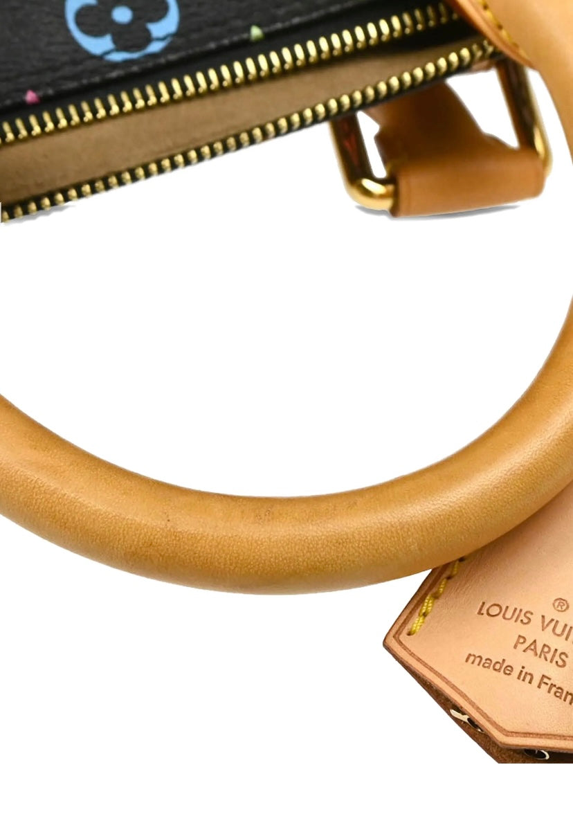 Louis Vuitton 2012 Speedy 30 Handbag